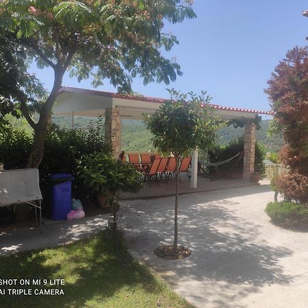 Guesthouse Zografia 브래스나 외부 사진