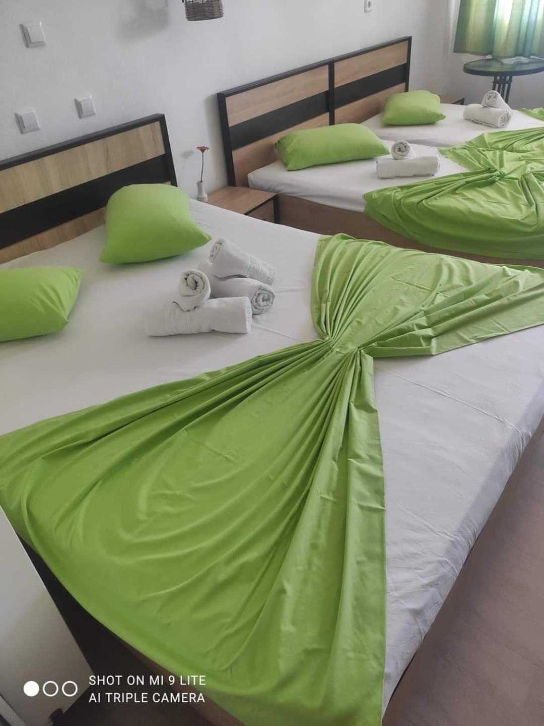 Guesthouse Zografia 브래스나 외부 사진