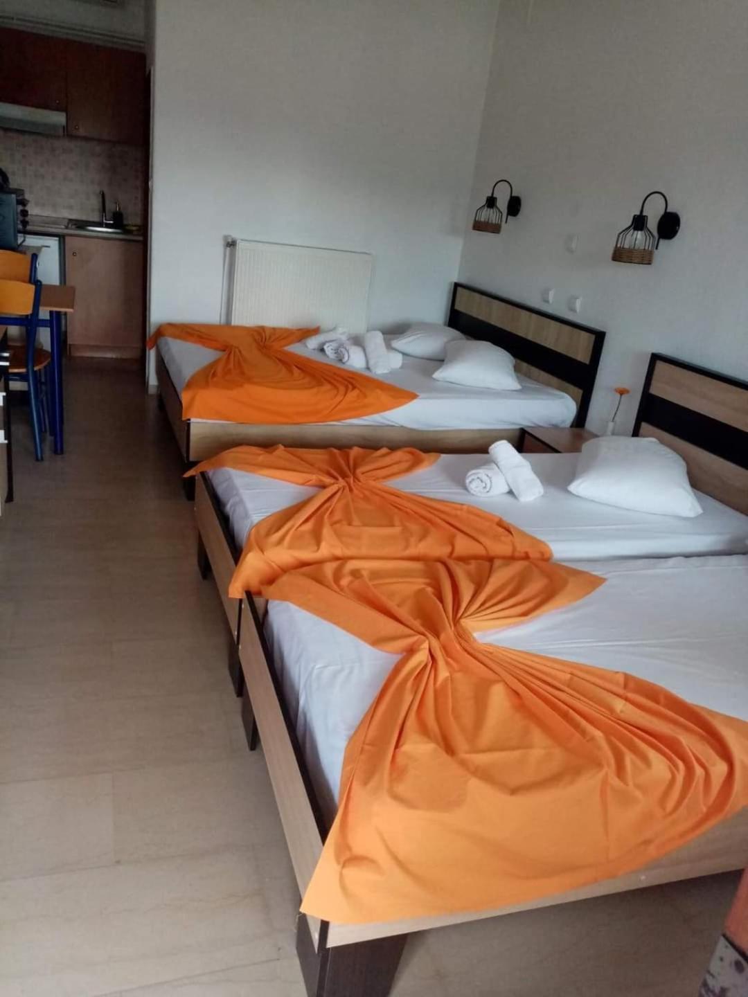 Guesthouse Zografia 브래스나 외부 사진