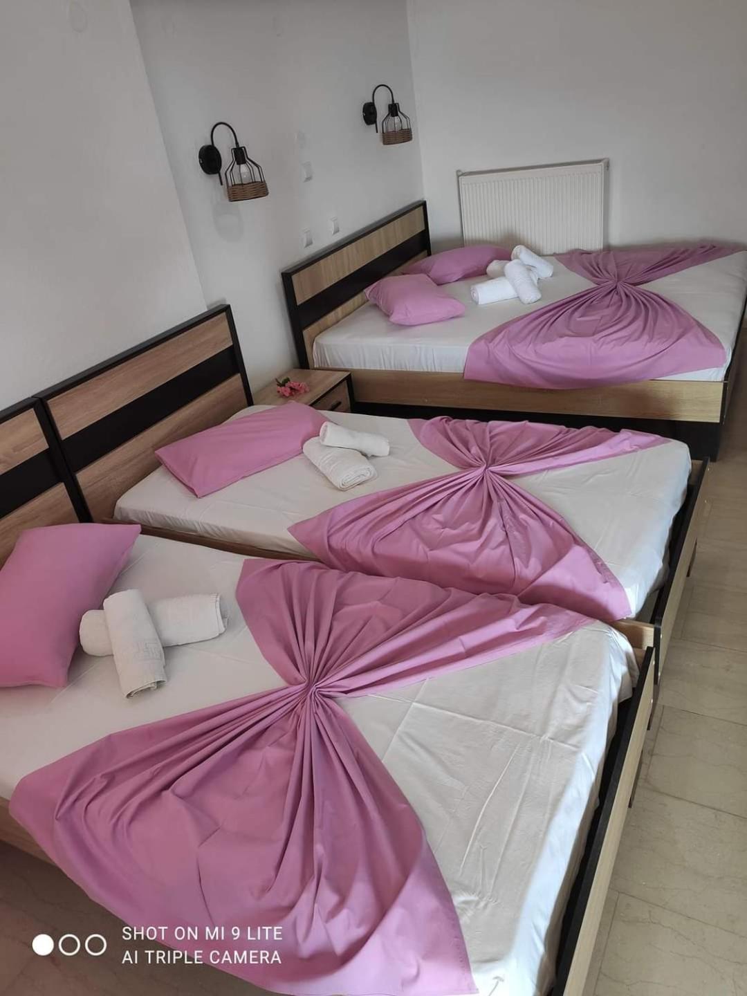 Guesthouse Zografia 브래스나 외부 사진