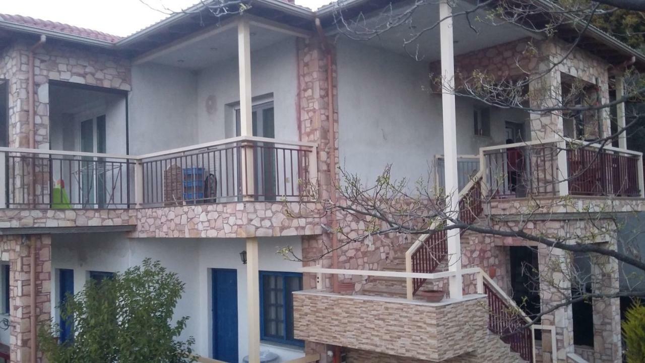 Guesthouse Zografia 브래스나 외부 사진
