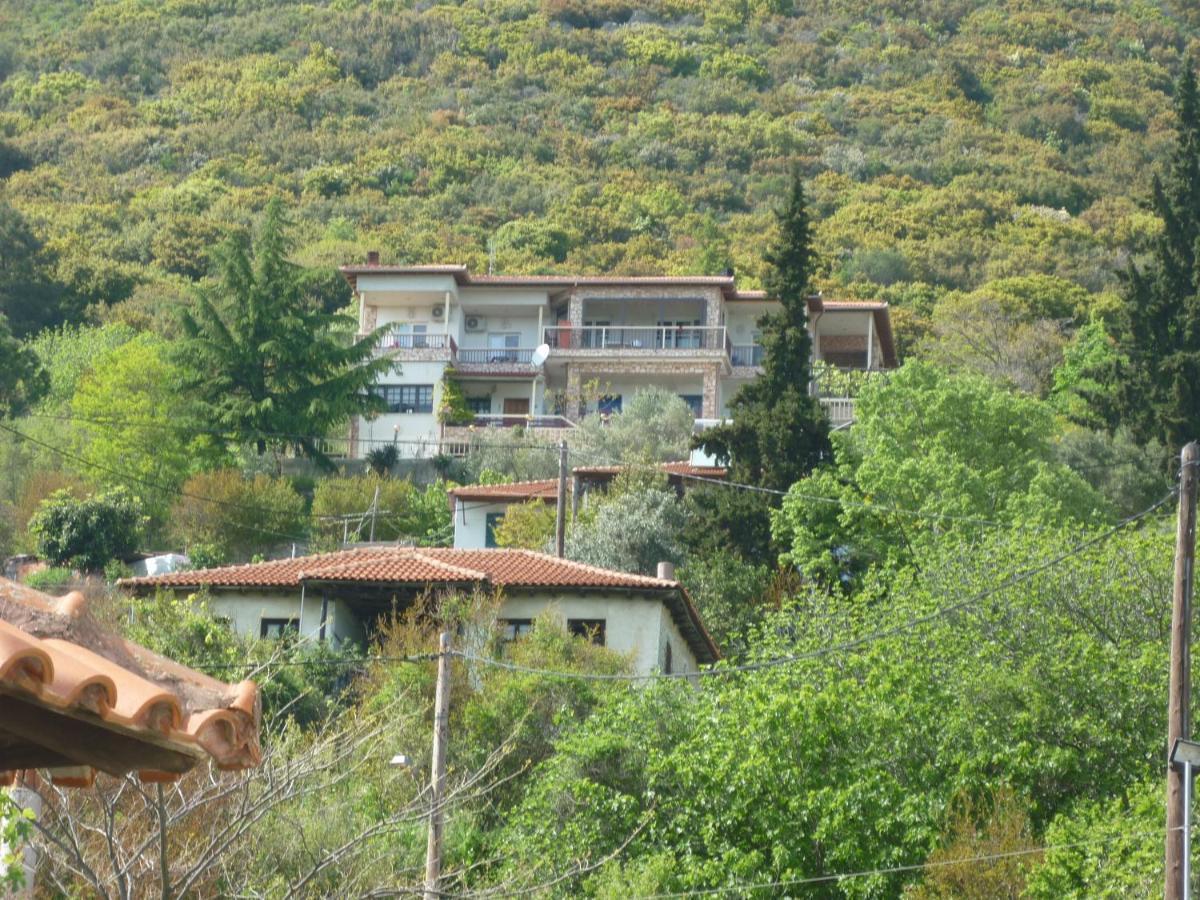Guesthouse Zografia 브래스나 외부 사진
