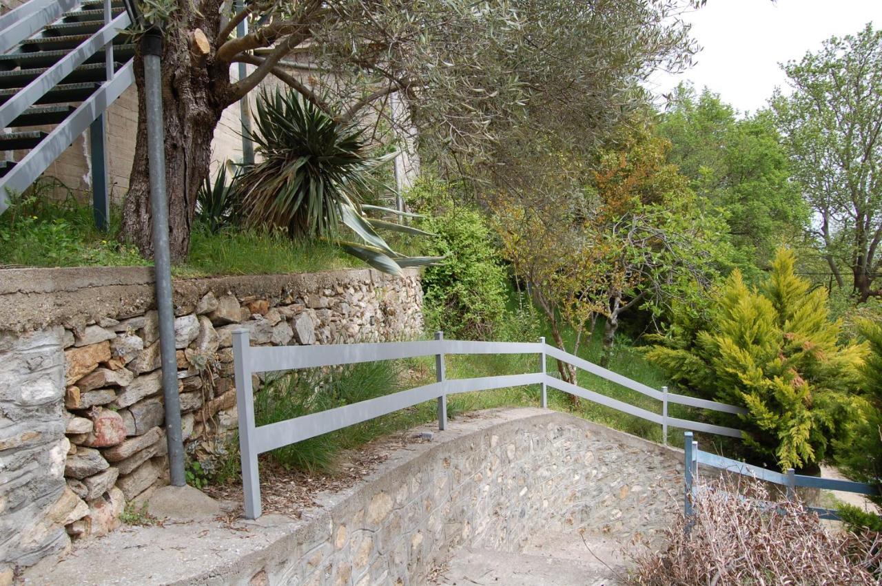 Guesthouse Zografia 브래스나 외부 사진